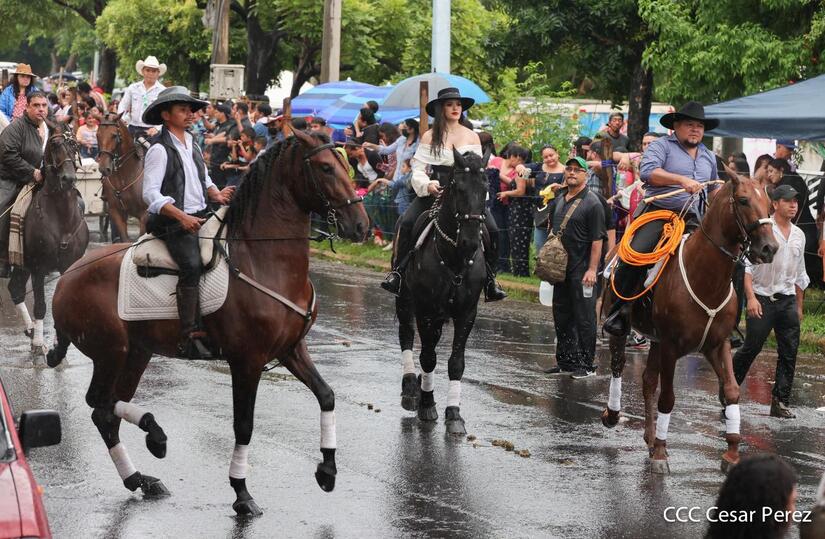 HIPICO
